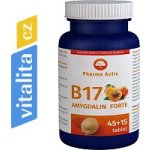 B17 Amygdalin Forte 45+15 tablet – Hledejceny.cz