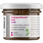 Dědek kořenář Novy Ostropestřecový olej KH 100 ml – Hledejceny.cz