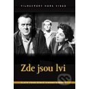 Zde jsou lvi DVD