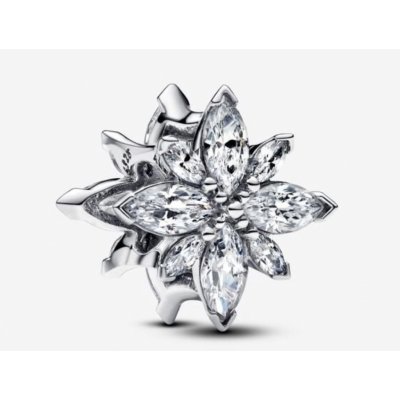 Pandora 793591C01 – Zboží Mobilmania