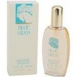 Elizabeth Arden Blue Grass parfémovaná voda dámská 100 ml tester – Hledejceny.cz