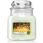 Yankee Candle All Is Bright 411 g – Zbozi.Blesk.cz