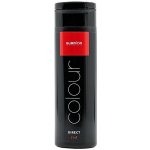 Subrina Direct Colour Red Gelová barva na vlasy červená 200 ml – Hledejceny.cz