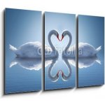 Obraz 3D třídílný - 105 x 70 cm - Romantic two swans, symbol of love. Romantické dvě labutě, symbol lásky. – Hledejceny.cz