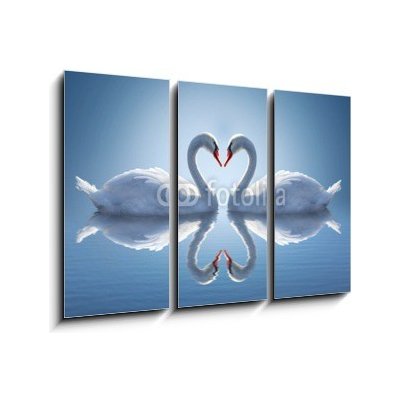 Obraz 3D třídílný - 105 x 70 cm - Romantic two swans, symbol of love. Romantické dvě labutě, symbol lásky. – Zbozi.Blesk.cz