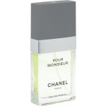 Chanel No.19 parfémovaná voda dámská 50 ml – Hledejceny.cz