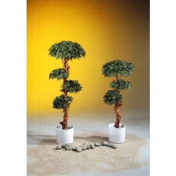 Bonsai palma s 4800 listy 120cm