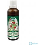 Naděje P27 Lesní bez hroznatý tinktura z pupenů 50 ml – Hledejceny.cz