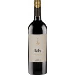Fantini Vini Nero d'Avola "Usulea" Cantine Cellaro 2023 13% 0,75 l (holá láhev) – Hledejceny.cz