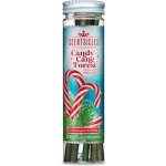 Scentsicles Vonné tyčinky na stromeček Candy Cane Forest 6 ks – Hledejceny.cz