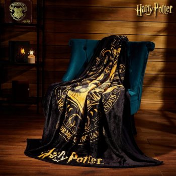 Herding Dětská deka Harry Potter Hogwarts