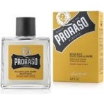 Proraso Wood & Spice balzám na vousy 100 ml – Sleviste.cz