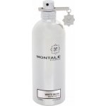 Montale Paris White Musk parfémovaná voda unisex 100 ml tester – Hledejceny.cz