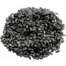Biostan Slunečnice černá 25 kg