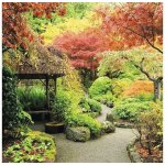 Dimex FL170-026 samolepící fototapeta na podlahu Japonská zahrada rozměry 170 x 170 cm – Hledejceny.cz