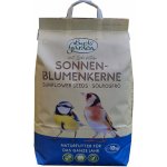 Birds Garden slunečnicová semínka, 10 kg – Hledejceny.cz