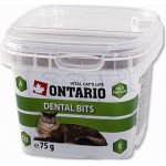 Ontario Snack Cat denta bits 75 g – Hledejceny.cz