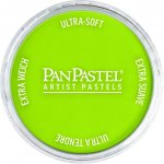 PanPastel Artists’ suchý pastel 680.5 bright yellow green – Hledejceny.cz