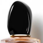 Giorgio Armani Sì parfémovaná voda dámská 100 ml tester – Zboží Mobilmania