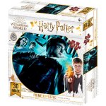 SPA 3D puzzle Harry Potter Harry, Hermiona a Ron 300 ks – Zboží Mobilmania