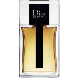 Christian Dior Homme 2020 toaletní voda pánská 100 ml tester