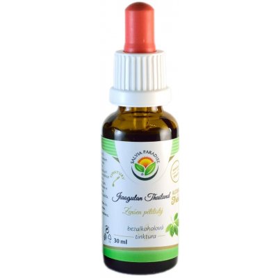 Salvia Paradise Jiaogulan Thailand AF tinktura 30 ml – Hledejceny.cz