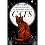 Mysterious World of Cats – Hledejceny.cz