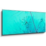 Obraz s hodinami 1D panorama - 120 x 50 cm - Parachute seed from a dandelion on a blue background Padák osivo z pampelišky na modrém pozadí – Zboží Mobilmania