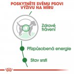 Royal Canin Mini Adult 85 g – Sleviste.cz