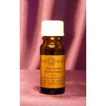 Arammagnus Olej voodoo Orisha Elegua 10 ml – Hledejceny.cz