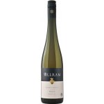 Allram Grüner Veltliner Ried Hasel Suché bílé 2024 13% 0,75 l (holá láhev) – Hledejceny.cz