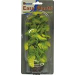 SF Easy Plants Middel 20cm No:10 Z – Hledejceny.cz