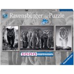 Ravensburger Panter slon a lev Panorama 1000 dílků – Hledejceny.cz