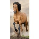 Ručník Jerry Fabrics Dětská osuška Kůň brown 70 x 140 cm