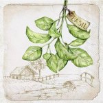 Ubrousek 33x33 cm BAZALKA – HobbyKompas.cz