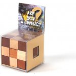 Recenttoys Hlavolam - Are you a Genius – Hledejceny.cz