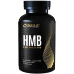 Self OmniNutrition HMB 90 kapslí – Zboží Dáma