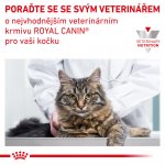 Royal Canin Veterinary Diet Cat Renal Feline 4 kg – Sleviste.cz