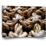 Sablio Obraz Banánové listí - 60x40 cm – Hledejceny.cz