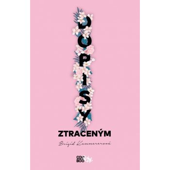 Dopisy ztraceným - Brigid Kemmerer