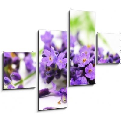 Obraz čtyřdílný 4D - 120 x 90 cm - Aroma, Lavendel Aroma, levandule – Zbozi.Blesk.cz