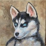 Liliia Shpitaleva, Husky, Malba na plátně, olejové barvy, 20 x 20 cm – Hledejceny.cz