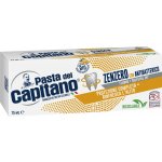 Pasta del Capitano Zenzero con Antibatterico 75 ml – Hledejceny.cz