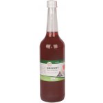 Sunfood Umeocet 700ml – Hledejceny.cz