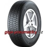 Gislaved Euro Frost 6 195/50 R15 82H – Hledejceny.cz