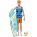 Panenky Barbie Barbie Ken surfař s doplňky