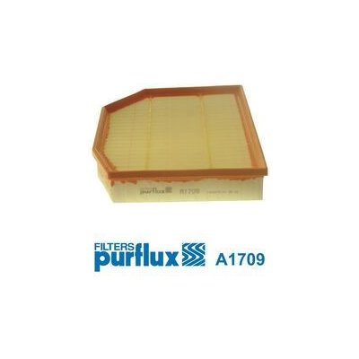 Vzduchový filtr PURFLUX A1709 – Hledejceny.cz