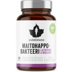 Puhdistamo Lactic Acid Bacteria Boulardii 30 kapslí – Hledejceny.cz