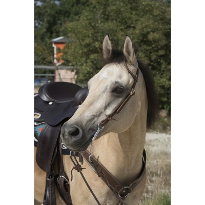 WESTRIDE Westernová uzdečka jednouška 1 Oreille hnědá oříšková – Zbozi.Blesk.cz