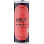 Loklok Kombucha malina 250 ml – Zboží Dáma